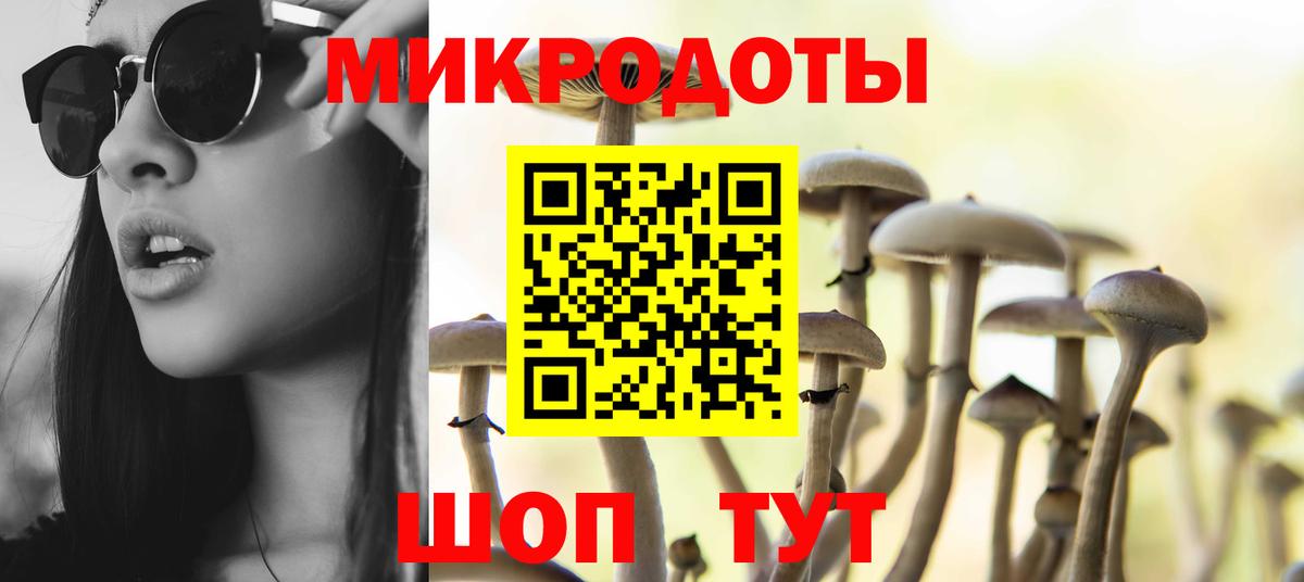 Псилоцибиновые грибы ЛСД Коммунар